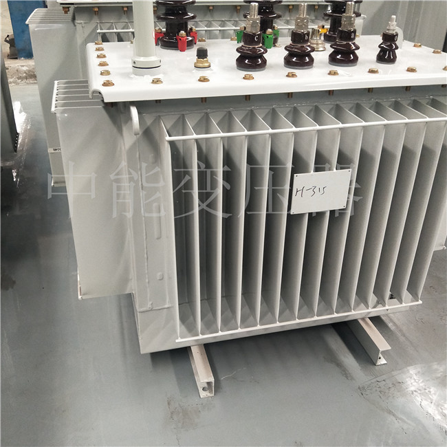 黑水S20-500KVA油浸式变压器